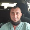   Sasa