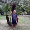  ,  , 61
