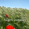   fanatik