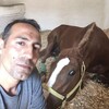   Senatore