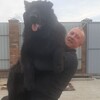   Oleg