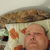  ,  , 44
