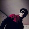   Pulotov