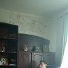   Oleg