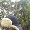   denis