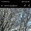  ,  , 55