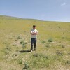 ,  Alisher, 31